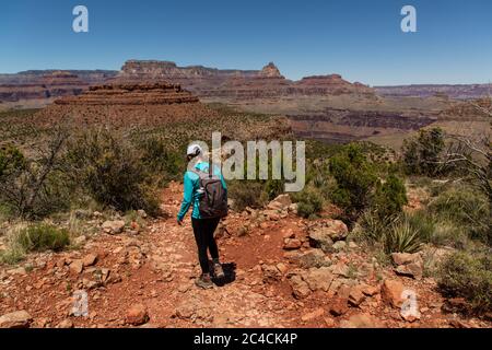 The Grand Canyon, one of the seven natural wonders of the world. Stock Photo