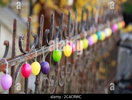 Colorfully colored Easter eggs hang in a row on an old garden fence, Bremen, Germany Stock Photo