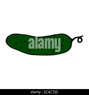 Green cucumber. Hand drawn outline doodle icon. Colorful isolated on white background. Vector illustration for greeting cards, posters, patches Stock Vector