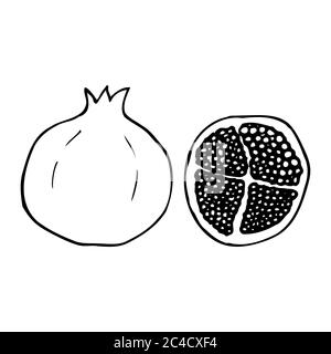 Pomegranate. Hand drawn outline doodle icon. Transparent isolated on white background. Vector illustration for greeting cards, posters, patches Stock Vector