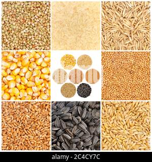 Cereals and basic food staple Stock Photo