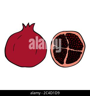 Pomegranate. Hand drawn outline doodle icon. Colorful isolated on white background. Vector illustration for greeting cards, posters, patches, prints Stock Vector