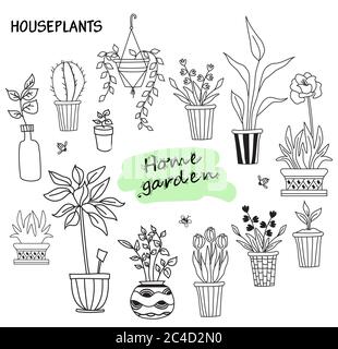 Set of cute indoor plants in pots. House of flowers and human hobbies. Botanical set - many flowerpots - cacti, tulips, flowers, seedlings, aloe Stock Vector