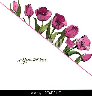 Frame with colored pink tulips. Poster. Spring mood. Vector illustration. Stock Vector