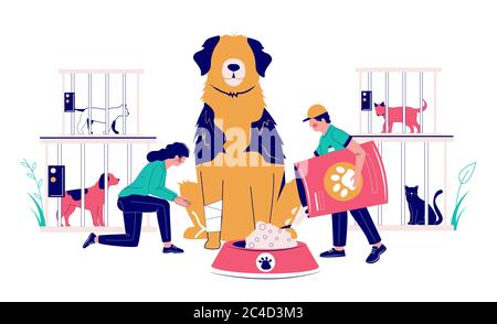 Woman Volunteer Feed Homeless Cat Vector Illustration Stock Vector ...