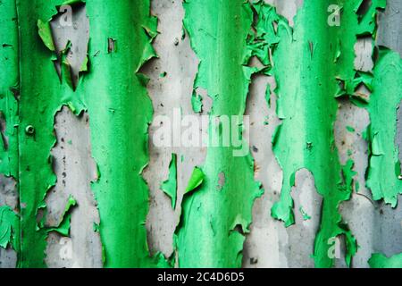 Texture of old peeling green paint on an iron fence Stock Photo