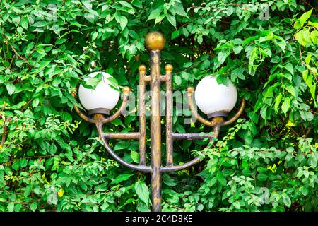 Pole with streetlamps white round balls among tree branches with green leaves. Stock Photo