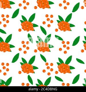 Seamless pattern with rowan berries isolated on white background. Autumn or Christmas pattern with mountain ash and leaves. Stock vector illustration Stock Vector