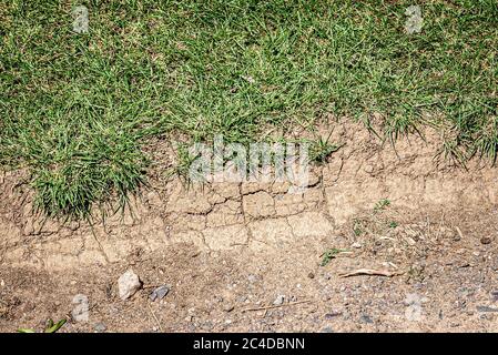 Mud cracks in the soil on a hot summer day Stock Photo
