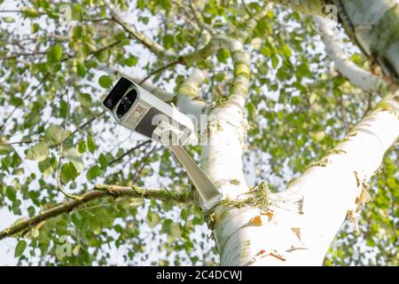 Newly installed, 4K WiFi IP Security camera using integral Solar Panel for complete wire free operation. Stock Photo