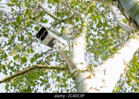 Newly installed, 4K WiFi IP Security camera using integral Solar Panel for complete wire free operation. Stock Photo