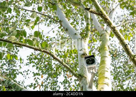 Newly installed, 4K WiFi IP Security camera using integral Solar Panel for complete wire free operation. Stock Photo