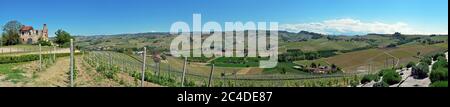 Vineyards of Alba, Langhe and Roero Stock Photo