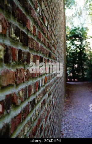 Closeup the old brick wall in diminishing perspective Stock Photo