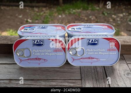 Sint Gillis Waas, Belgium, June 12, 2020, four tins of Zapi Mackerel fillet in tomato sauce Stock Photo