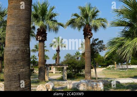 A Small Stone Arch and Other Ruins Among Palm Trees in the Ancient City of Hierapolis Stock Photo