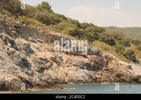 An Eroded Cliff with Plants Growing Above (Near Oludeniz in Turkey) Stock Photo