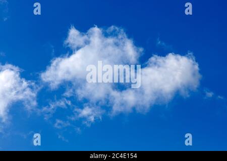 Background of a one single cumulus cloud with a blue clear sky Stock Photo
