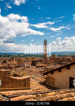 Elevated view of Siena's terracotta rooftops with Torre del Mangia in the distance. Tuscany, Italy.