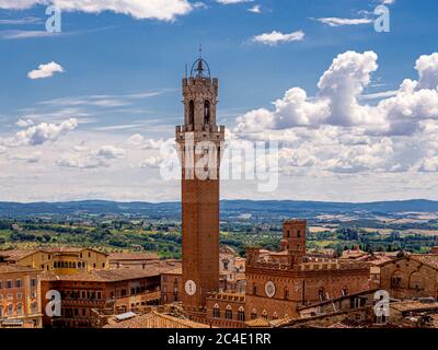 Elevated view of Siena's terracotta rooftops with Torre del Mangia in the distance. Tuscany, Italy.
