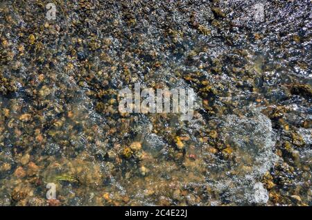 Cool freshness of mountain river fast stream in sunny summer day. Colorful pebbles under transparent clear water, sun glare on the surface of  water Stock Photo