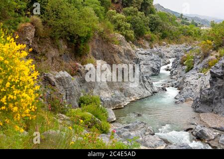 The Gole Alcantara river with flowers in the foreground. Gole Alcantara botanical and geological park in Italy. Stock Photo