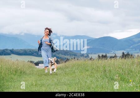 Happy smiling running beagle dog portrait with tongue out and owner female jogging by the mounting meadow grass path. Walking in nature with pets, hap Stock Photo