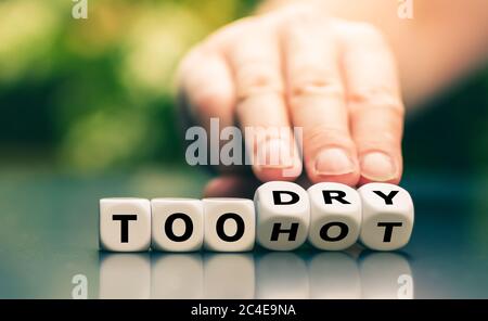 Dice form the expressions 'too hot' and 'too dry'. Stock Photo