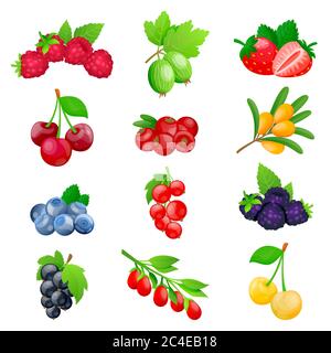 Juicy berries and fruits icon collection. Vector flat cartoon illustration. Fresh cherry, strawberry, cranberry, blackberry, strawberry isolated on wh Stock Vector