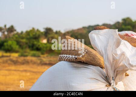 GOA, INDIA - May 12, 2020: Large dustpan-shaped kitchen appliance made of bamboo - a winnowing fan used for harvesting of paddy in Goa, India Stock Photo