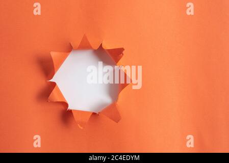 Rolled Ripped Torn Cardboard Placed Above A Wooden Classic Table Backdrop Stock Photo