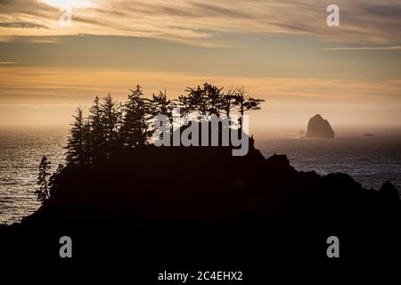 Silhouetted rocks and trees at sunset, along the Pacific Coast Highway in Oregon Stock Photo