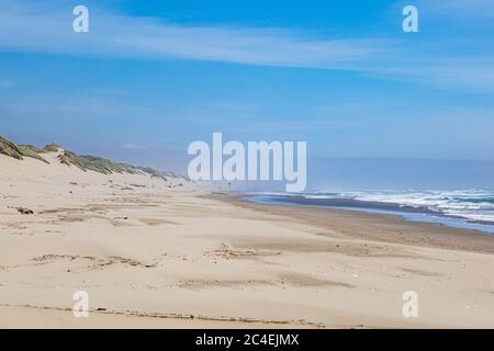 Looking along a sandy beach in Oregon on a sunny but windy summers day Stock Photo