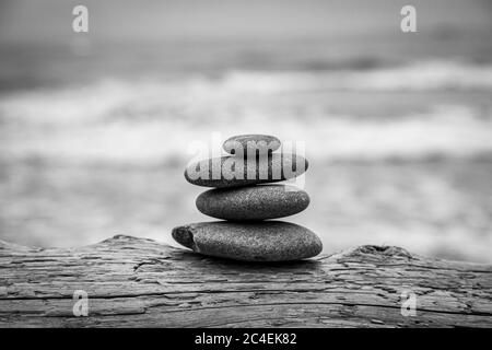 Zen rocks on a fallen tree trunk, at Ruby beach in Washington state Stock Photo