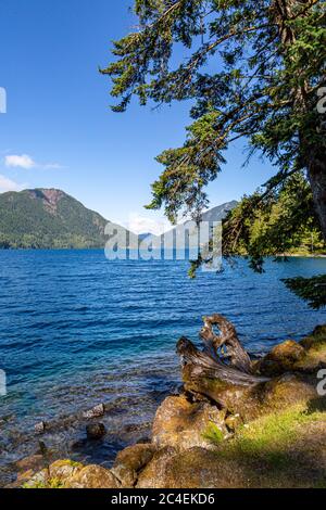 Looking out over Lake Crescent in Olympic National Park, on a sunny summers day Stock Photo