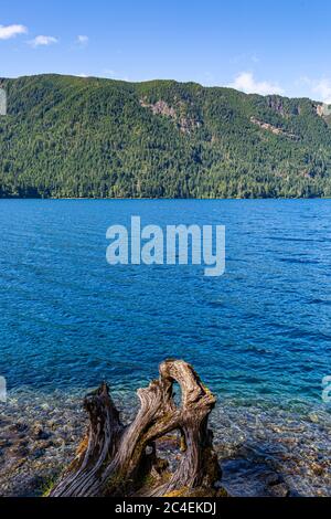 Looking out over Lake Crescent in Olympic National Park on a summers day Stock Photo
