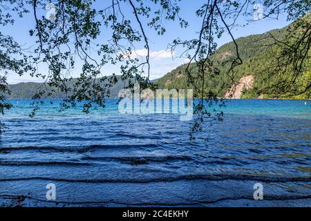 Looking out through tree branches over Lake Crescent, in Olympic National Park, Washington Stock Photo