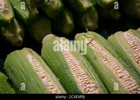 Cobs of freshly washed sweetcorn for sale on a market stall Stock Photo