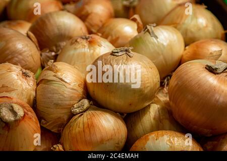 A full frame photograph of onions for sale on a market stall