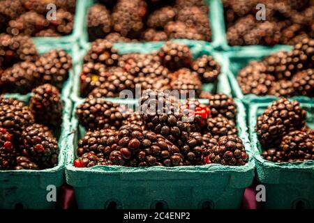 Punnets of blackberries for sale on a market stall Stock Photo