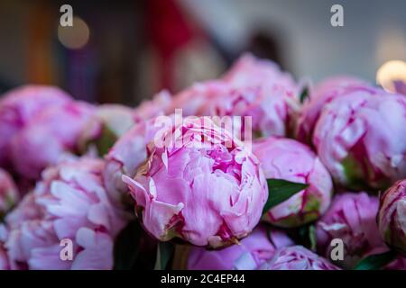 Pretty pink peonies for sale on a market stall