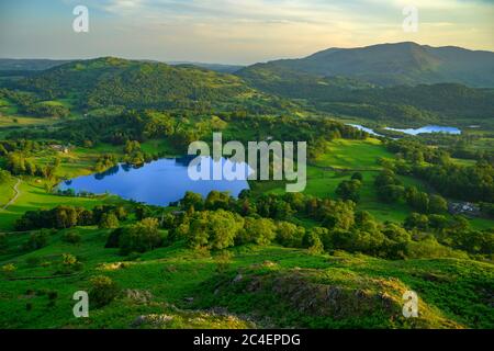 Loughrigg Tarn and Elterwater in Summer, Lake District Stock Photo