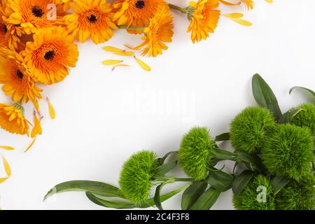 Beautiful pink peonies on pink background top view, flat lay Stock Photo