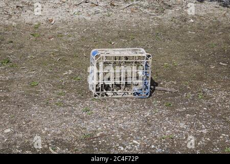 Old plastic milk crate on muddy dry river bed with copy space Stock Photo