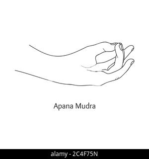 Apana Mudra / Gesture of Life Force. Vector. Stock Vector