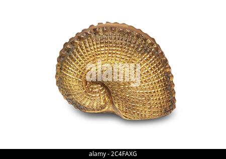 Beautiful sea shell from metal isolated on white with clipping path Stock Photo