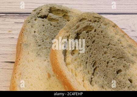 Mold growing rapidly on moldy bread on wooden background. Mildew on a slice of bread. Stale bread, covered with mildew. Stock Photo