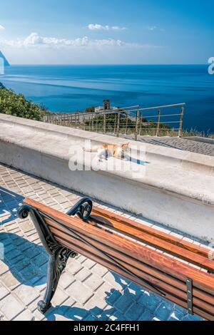 Red cat in a park with empty bench on sea shore in a park. Sea view from mountain. Travel, relax or loneliness concept. Wooden bench on open space Stock Photo