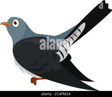 Black cuckoo, illustration, vector on white background Stock Vector