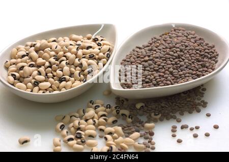 Two containers full of black beans and lentils on a white table where there are scattered grains of these legumes Stock Photo